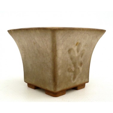 Maceta Bonsái Desconocido 73