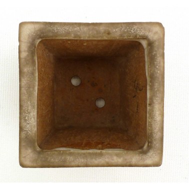 Maceta Bonsái Desconocido 73