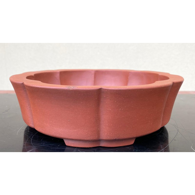 Maceta Bonsái Yixing ASE-3082F1