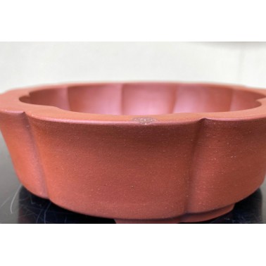 Maceta Bonsái Yixing ASE-3082F1