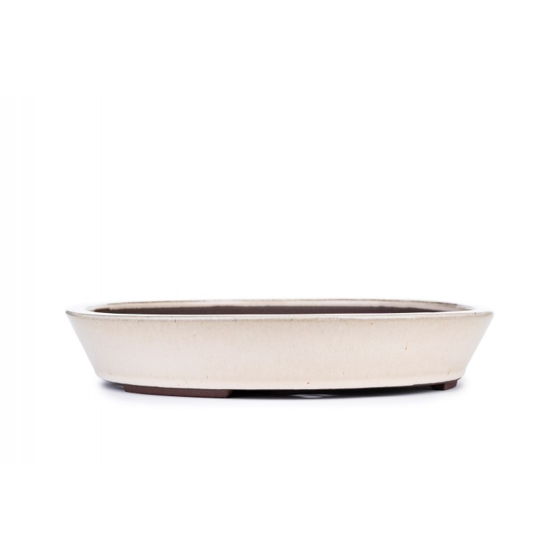 Maceta Bonsái Autor Desconocido 2223