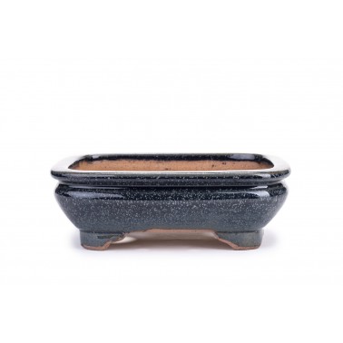 Maceta Bonsái Gyozan 22127