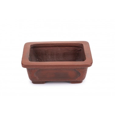 Maceta Bonsái Bigei 22136