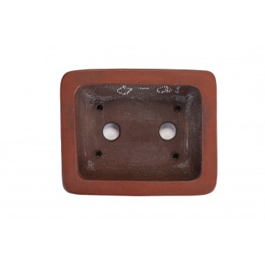 Maceta Bonsái Bigei 22136