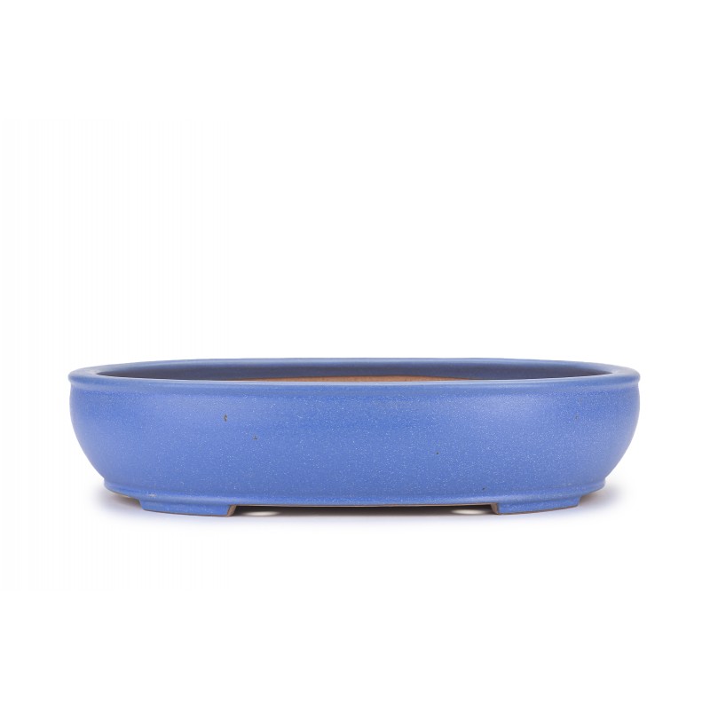 Maceta Bonsái Reihou 22102