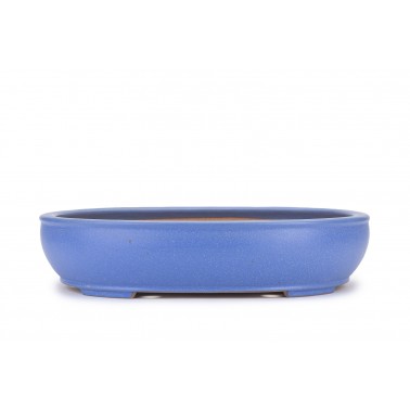 Maceta Bonsái Reihou 22102