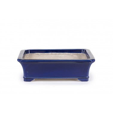 Maceta Bonsái Terabatake 22114