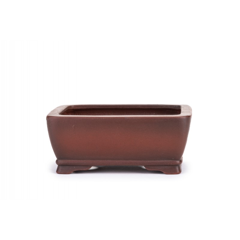 Maceta Bonsái Bigei 22138