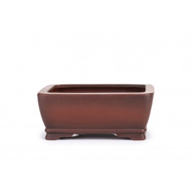 Maceta Bonsái Bigei 22138