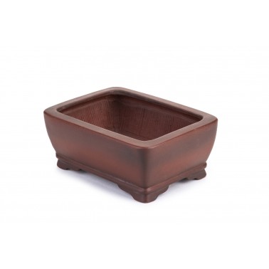 Maceta Bonsái Bigei 22138