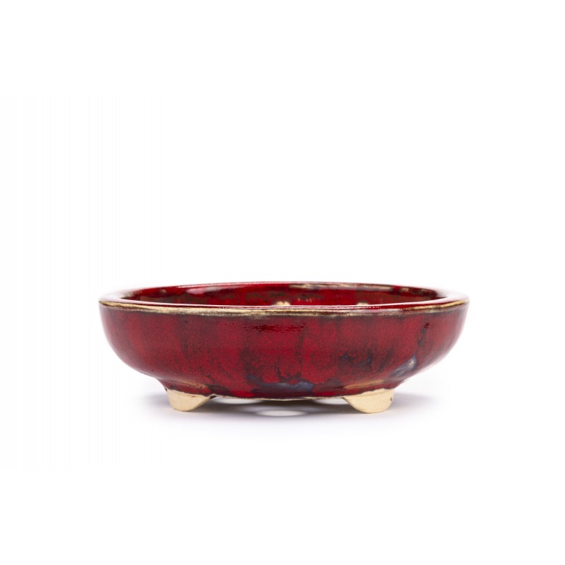 Maceta Bonsái Sharaku 22157