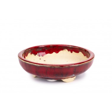 Maceta Bonsái Sharaku 22157