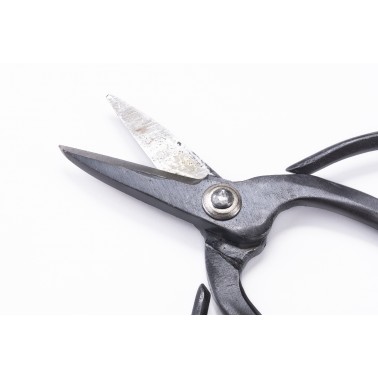 Tijera de Aros Grandes 180mm - Calidad Amateur