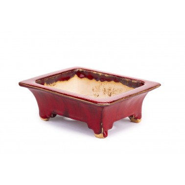 Maceta Bonsái Sharaku 22151