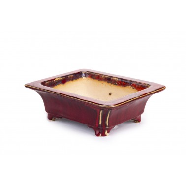 Maceta Bonsái Sharaku 22166