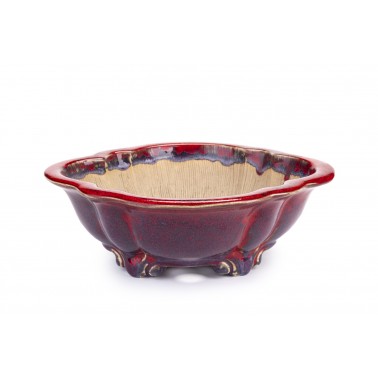 Maceta Bonsái Sharaku 22168