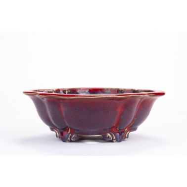 Maceta Bonsái Sharaku 22168