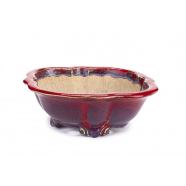 Maceta Bonsái Sharaku 22168