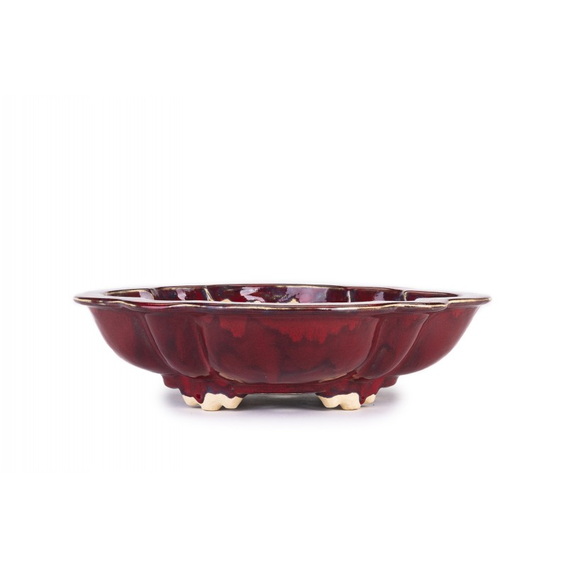 Maceta Bonsái Sharaku 22171