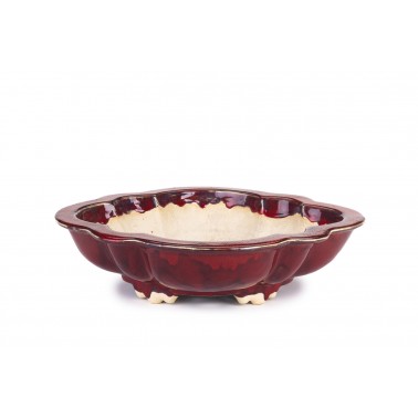 Maceta Bonsái Sharaku 22171