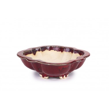 Maceta Bonsái Sharaku 22171