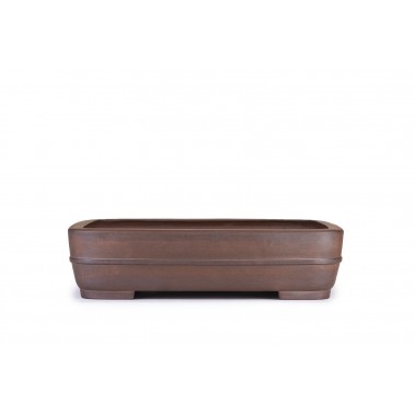 Maceta Bonsái Reihou 22115