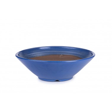 Maceta Bonsái Shuhou 22116