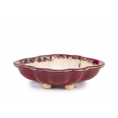 Maceta Bonsái Sharaku 22154