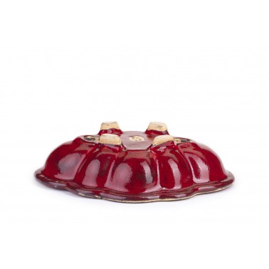 Maceta Bonsái Sharaku 22154