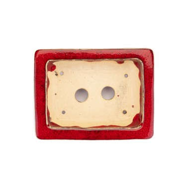 Sharaku Bonsai Pot 22150