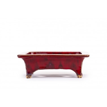 Maceta Bonsái Sharaku 22163