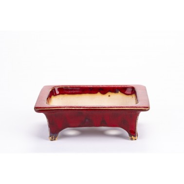 Maceta Bonsái Sharaku 22163