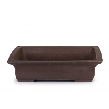 Maceta Bonsái Gyozan Yuji 22208