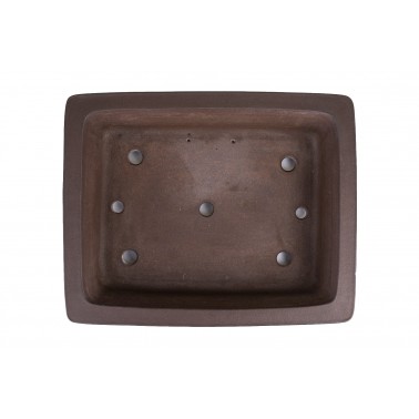 Maceta Bonsái Gyozan Yuji 22208