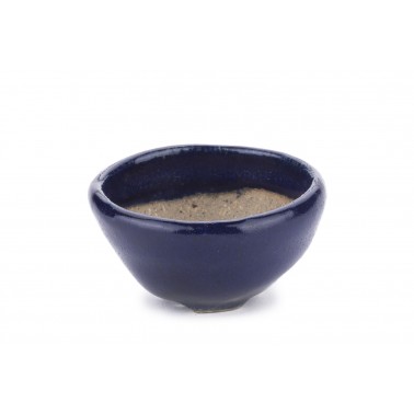 Juko Bonsai Pot 22304