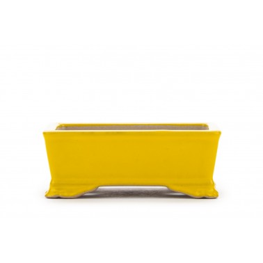 Maceta Bonsái Yixing SCF-0003