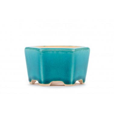 Maceta Bonsái Yixing WX-04