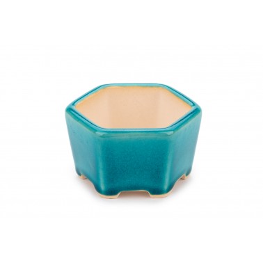 Maceta Bonsái Yixing WX-04