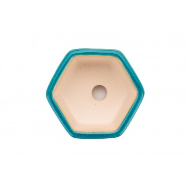 Maceta Bonsái Yixing WX-04