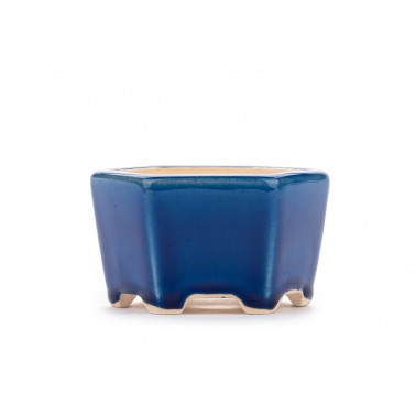 Maceta Bonsái Yixing WX-04BL