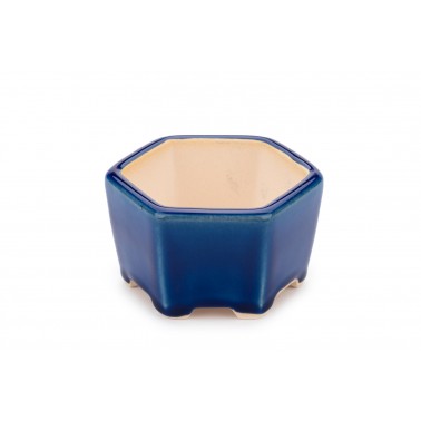 Maceta Bonsái Yixing WX-04BL