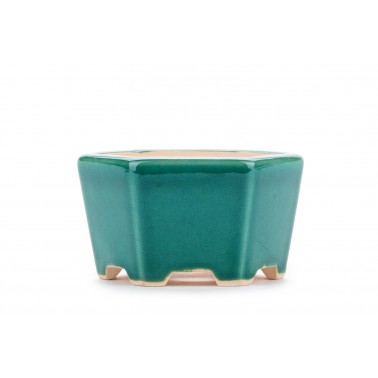 Maceta Bonsái Yixing WX-04GR