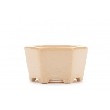 Maceta Bonsái Yixing WX-04BE