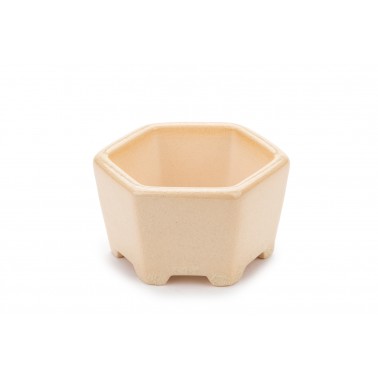 Maceta Bonsái Yixing WX-04BE