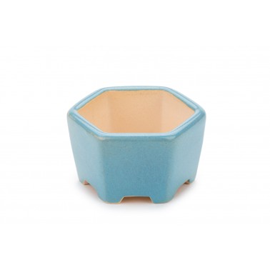 Maceta Bonsái Yixing WX-04NB