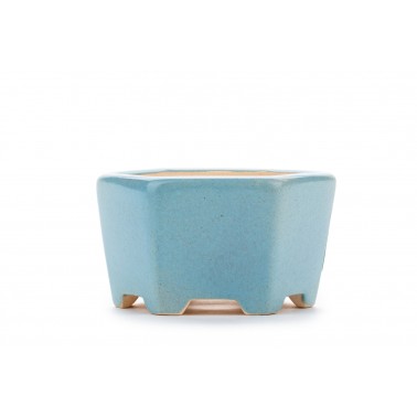 Maceta Bonsái Yixing WX-04NB