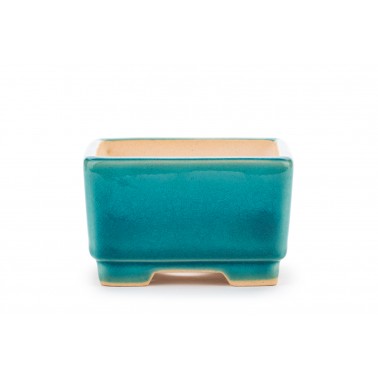 Maceta Bonsái Yixing WX-05