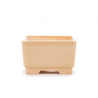 Maceta Bonsái Yixing WX-05BE