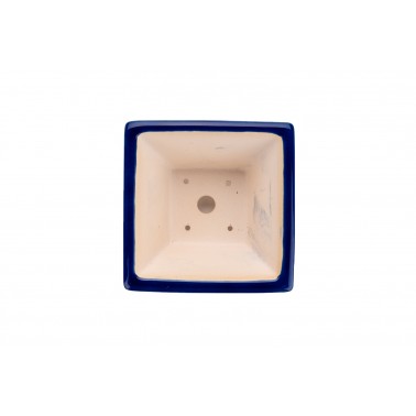 Maceta Bonsái Yixing WZ-01BL