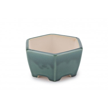 Maceta Bonsái Yixing WZ-11GR